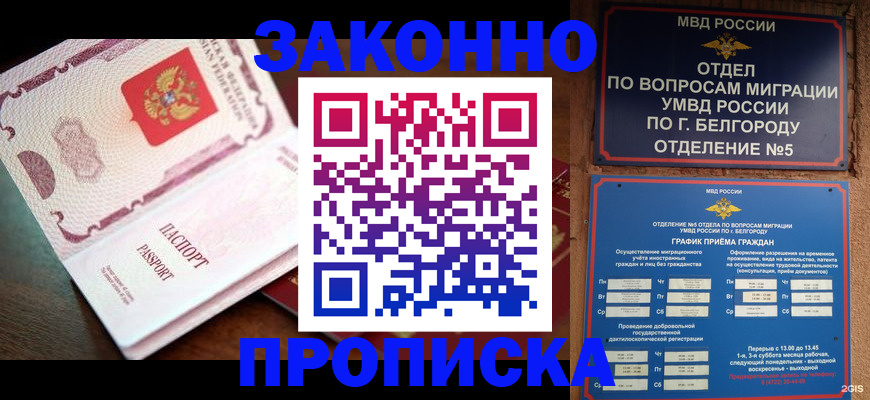 временная регистрация для школы в Лосино-Петровском